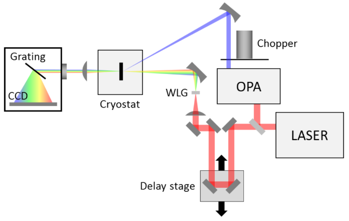 Figure shows diagram for typical pump-probe experiment